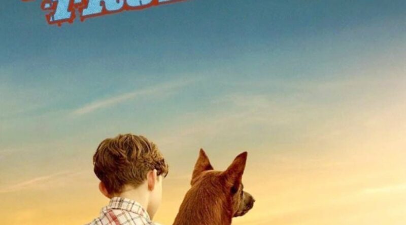 Poster for the movie "Red Dog: True Blue"